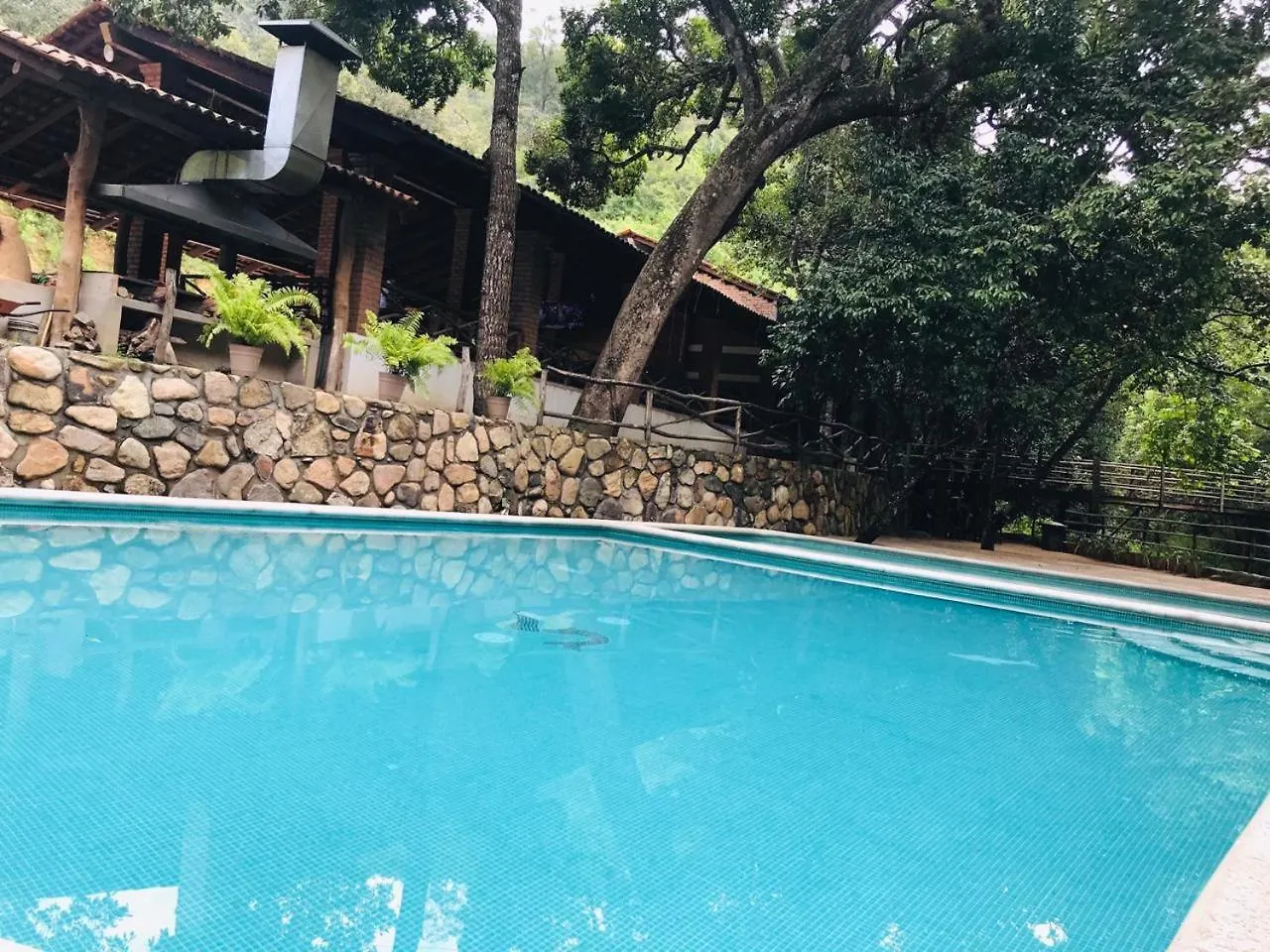 Jorullo Paradise Puerto Vallarta