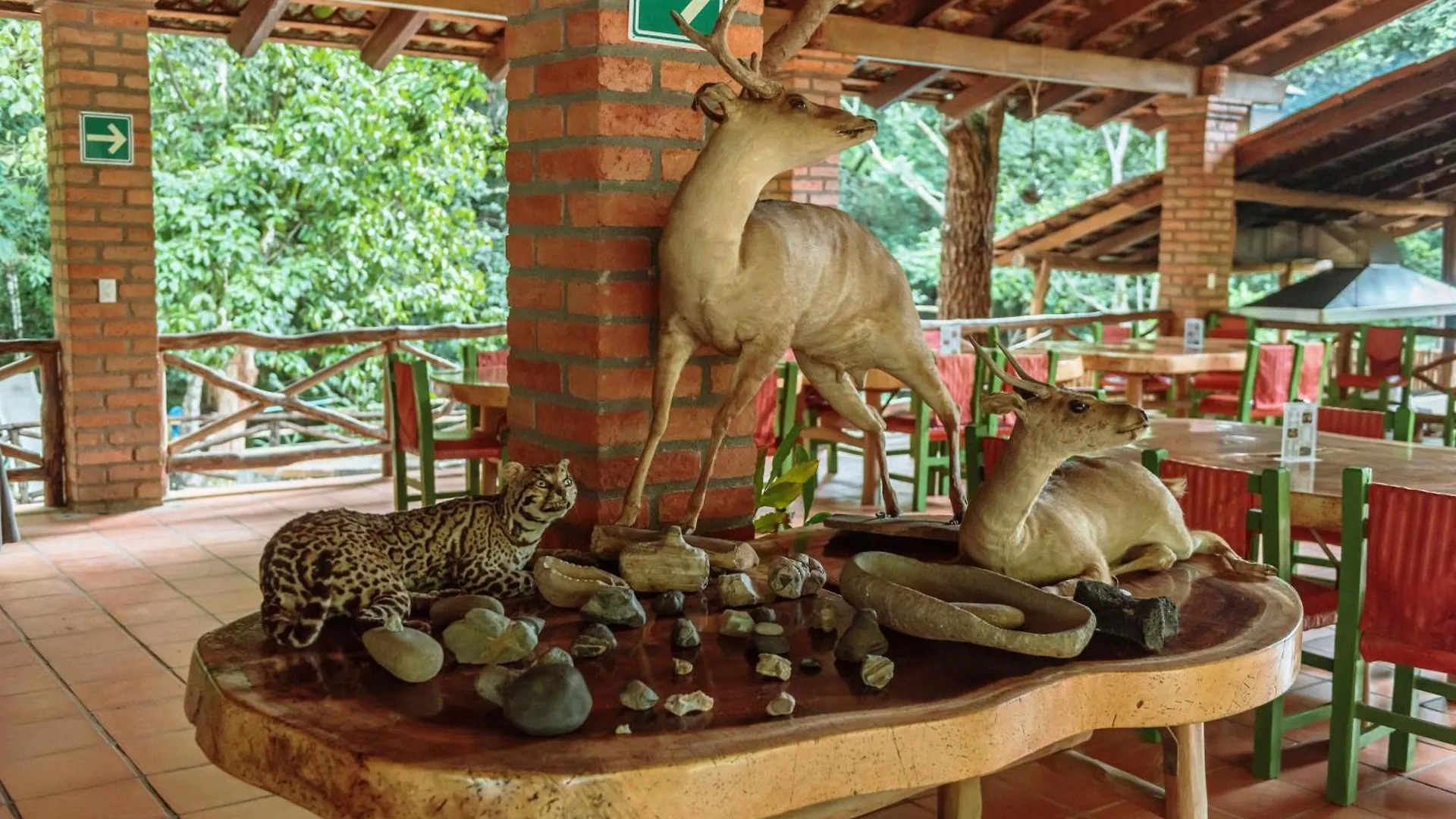 Jorullo Paradise Puerto Vallarta México